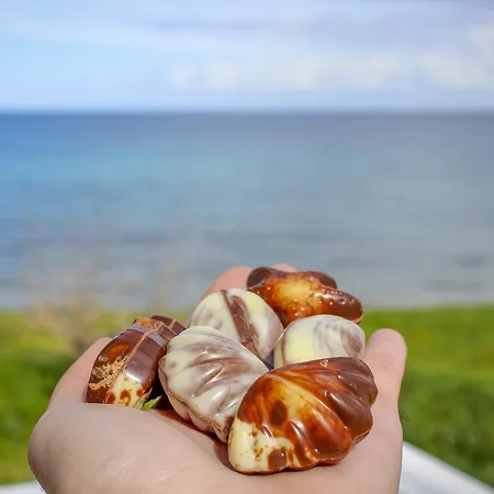 Pelagion Ii Sea Coral - Beachfront * Kypseli